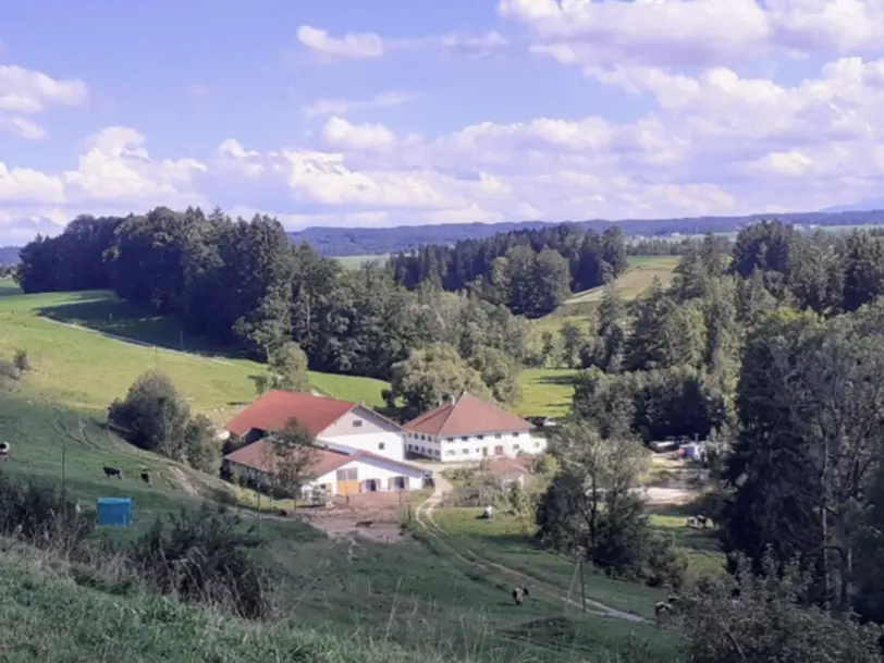 Biohof Vögelesmühle in Haldenwang